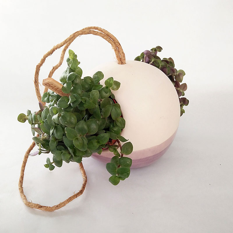 Création Laurence Cohen boule-vegetale-1 Création Laurence Cohen boule-vegetale-1