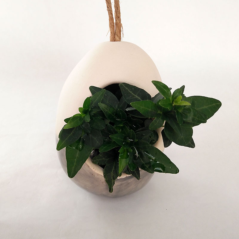 Création Laurence Cohen suspension-vegetale-ovale3 Création Laurence Cohen suspension-vegetale-ovale3